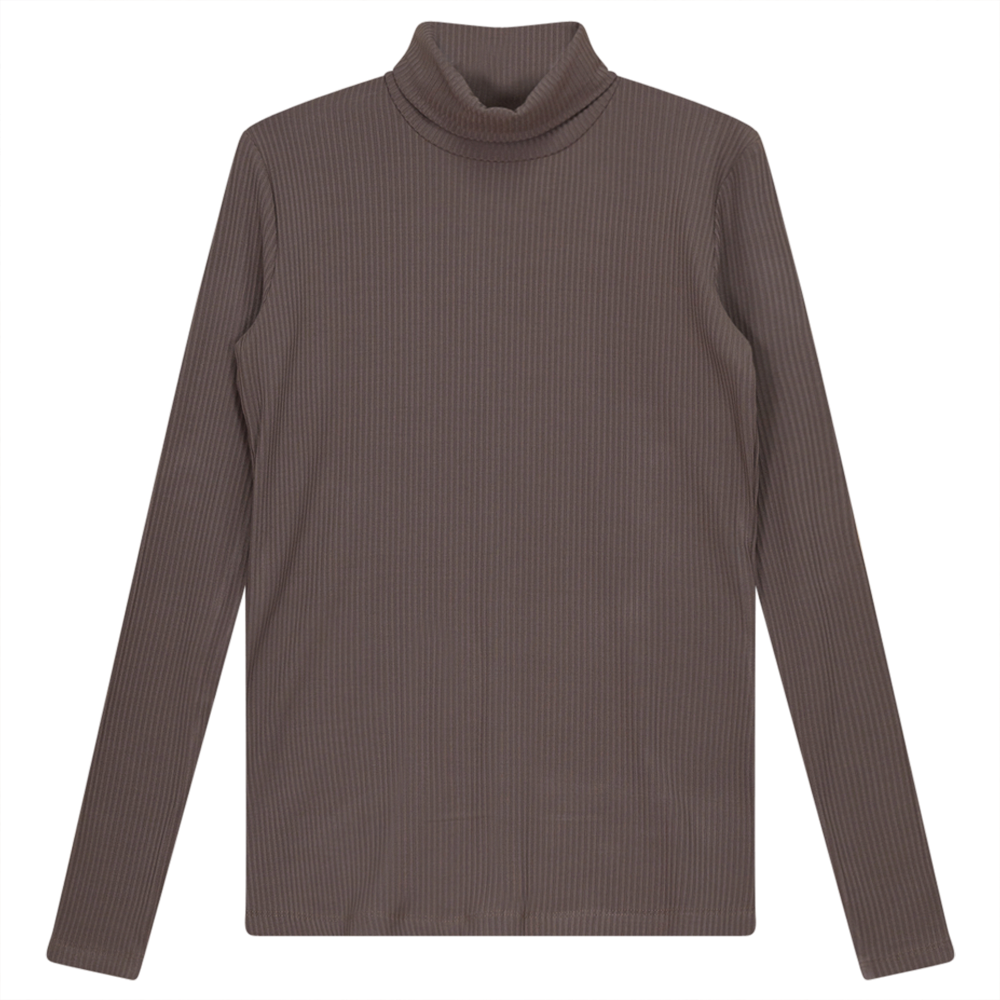 Ribbed Mock Neck Top