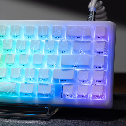XVX IMD Spider Web Shine-Through OEM Profile 118-Key Keycap Set