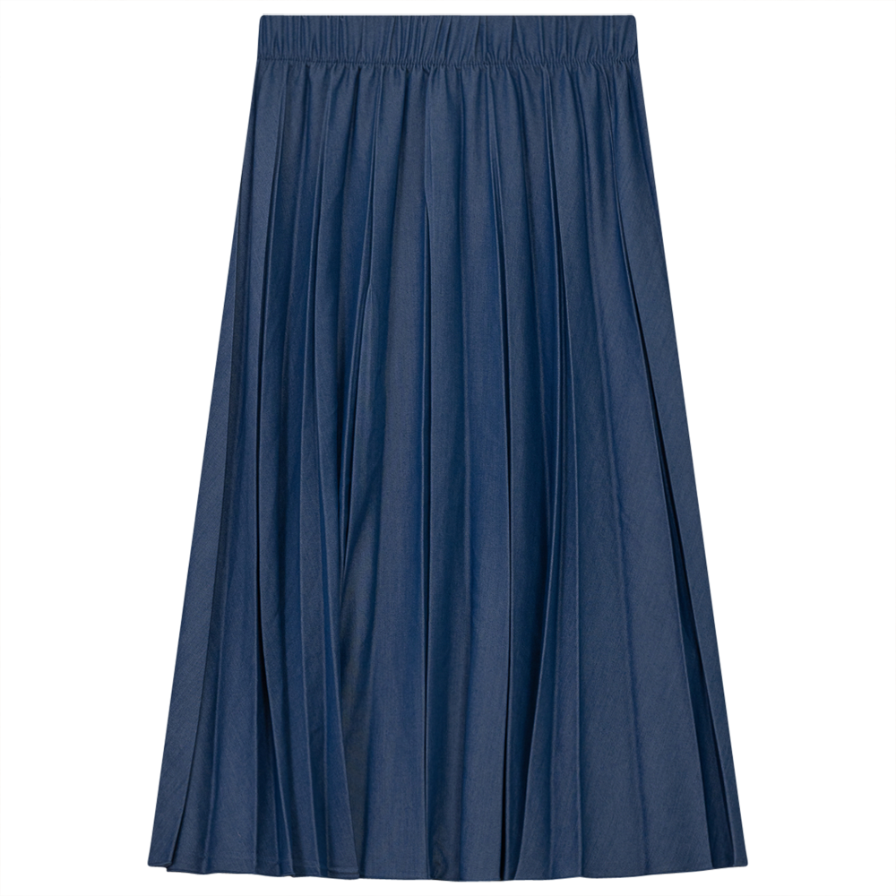 Pleated Skirt