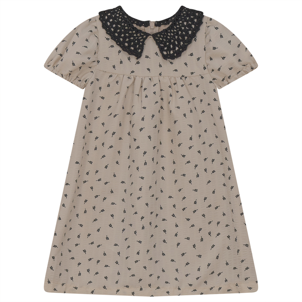 Dress With Lace Collar