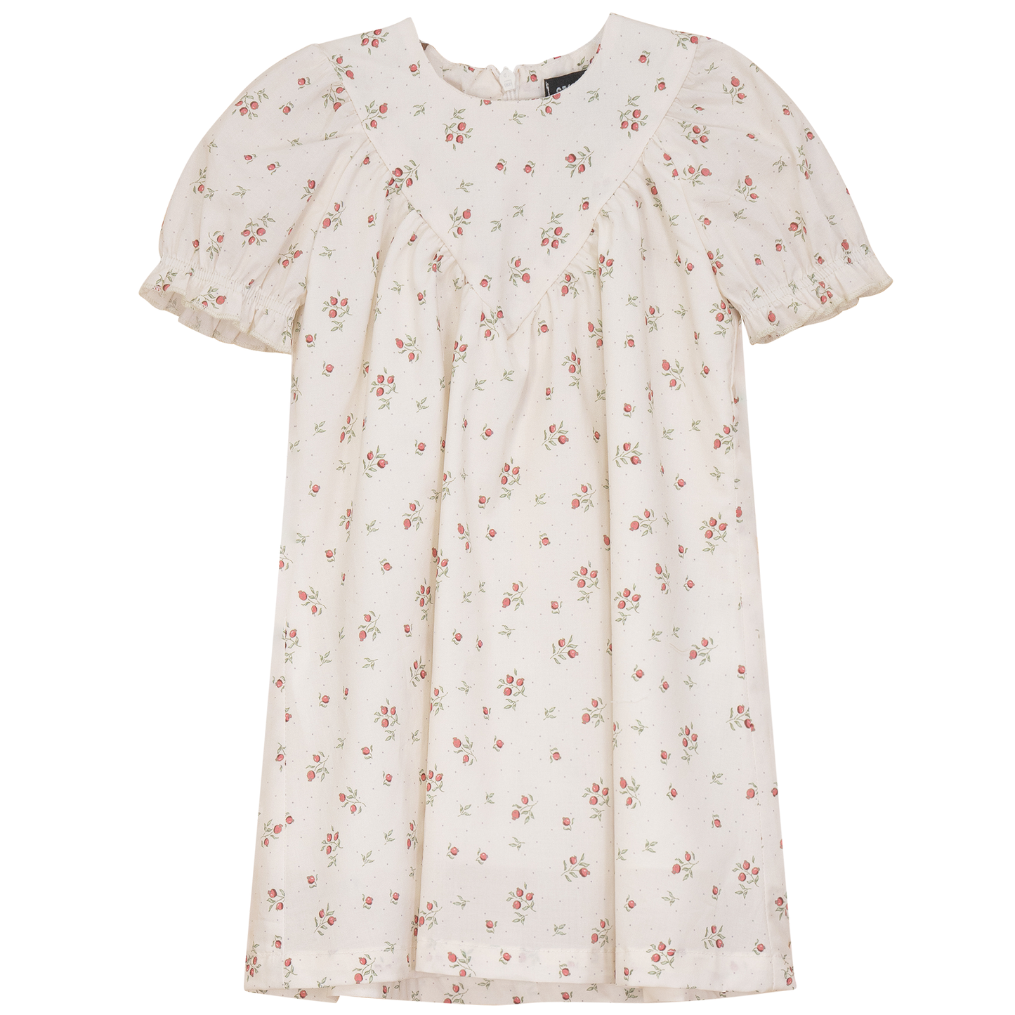 Blueberry Printed Dress