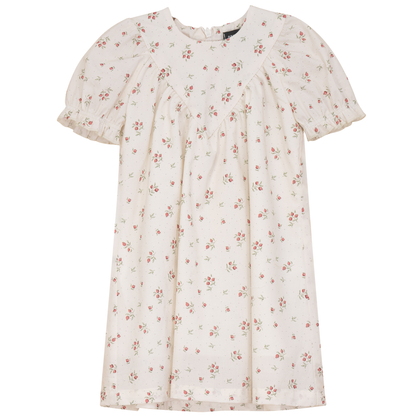 Blueberry Printed Dress