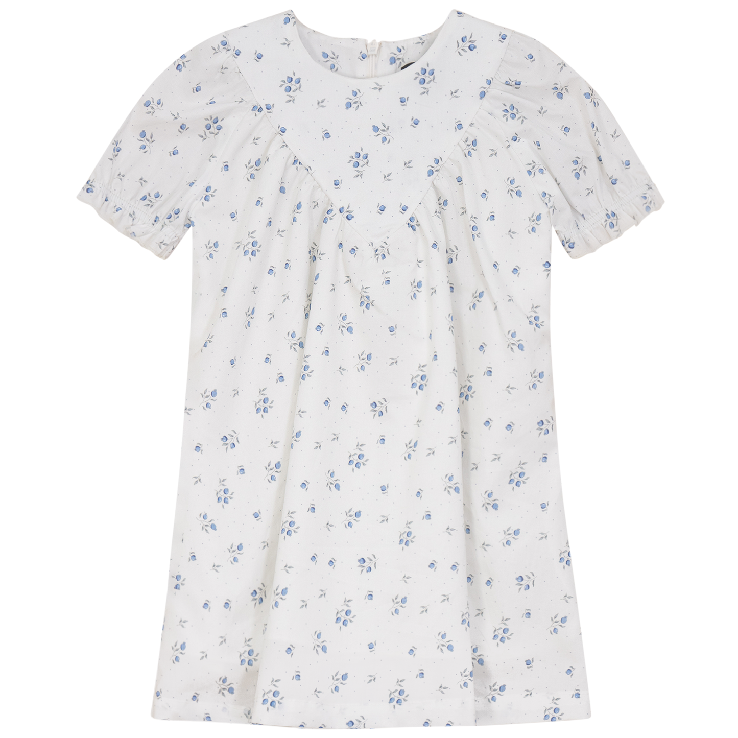 Blueberry Printed Dress