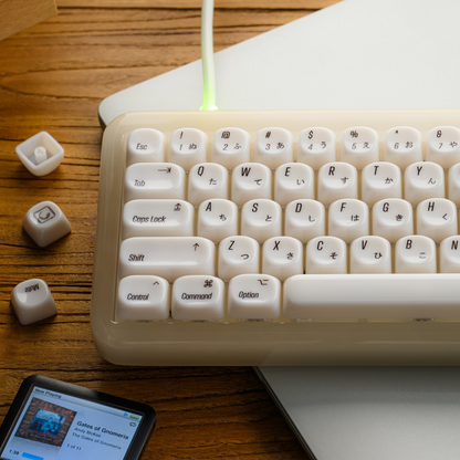 XVX White Chocolate MOA Profile Translucent 139-Key PC Keycap Set