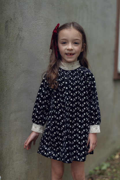 Embroidered Velvet Dress