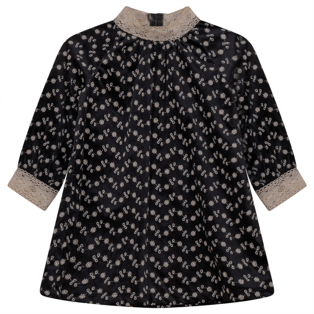 Embroidered Velvet Dress