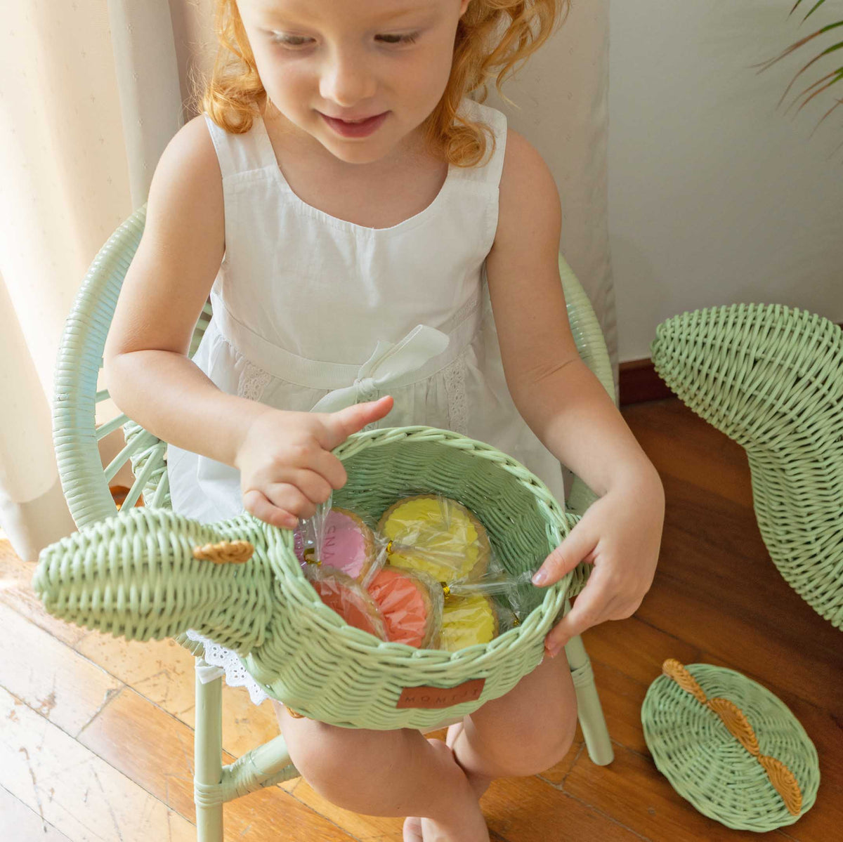 Dinosaur Rattan Storage Basket Mint Green - Small