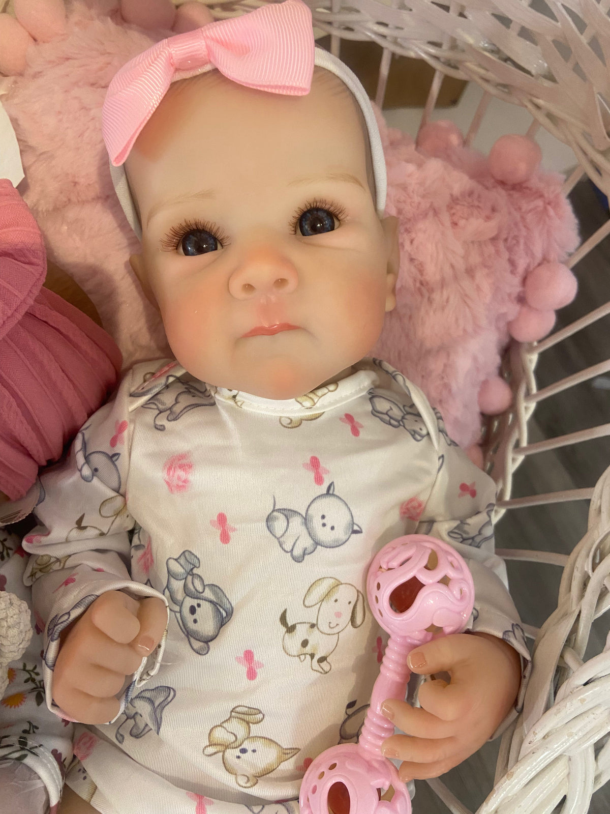 Reborn Vinyl Cloth Body Pheobe