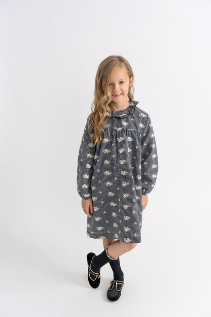 Checkered Embroidered Dress