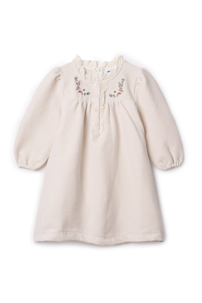 Velvet Embroidered Floral Dress